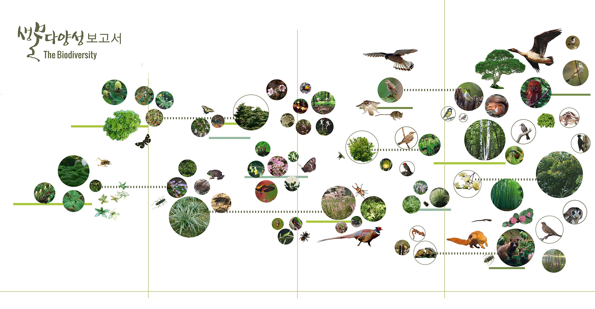 MCA-Biodiversity-Hill-biodiversity-diagram-.jpg