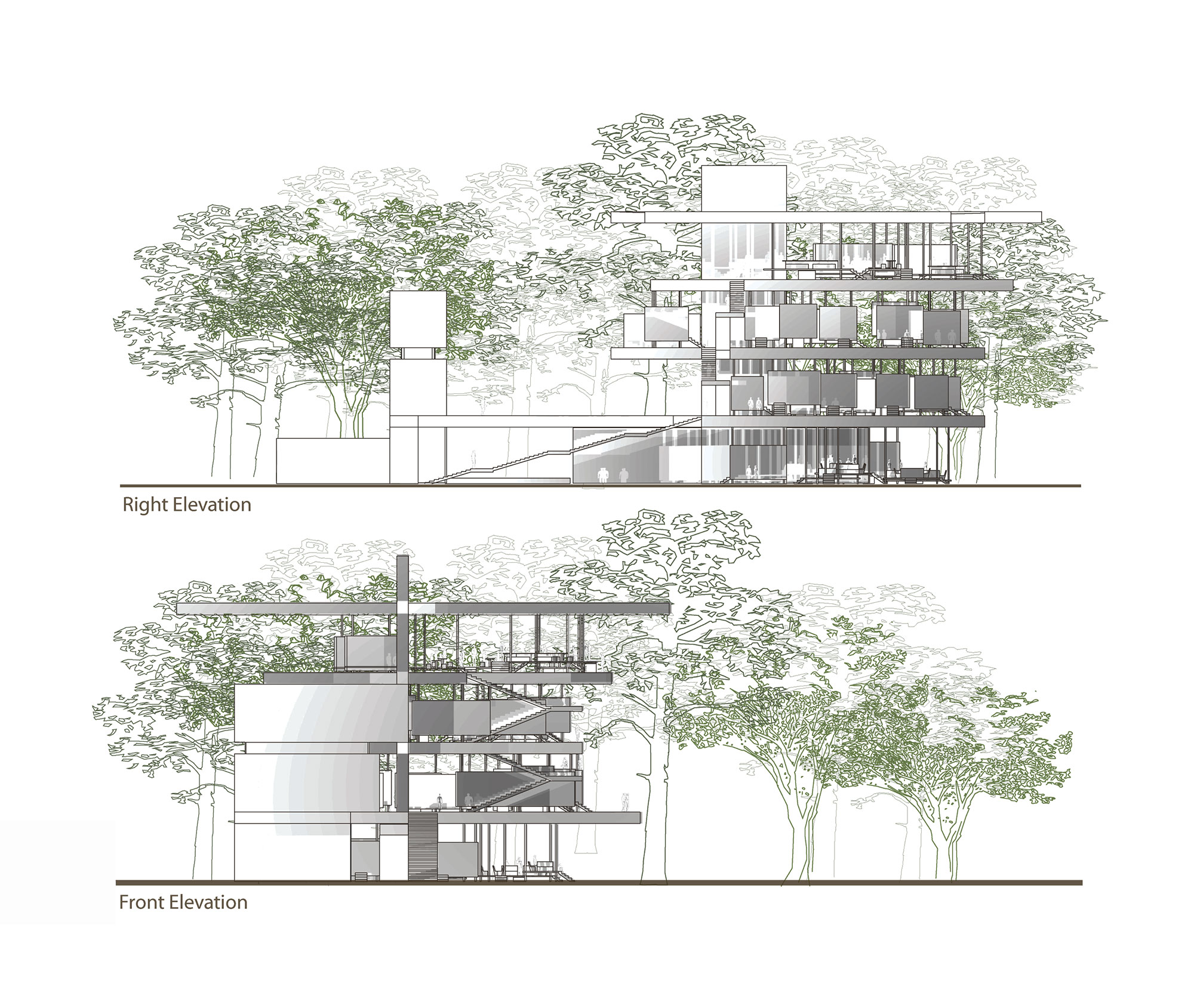MCA-House-of-Fireflies-Elevations.jpg